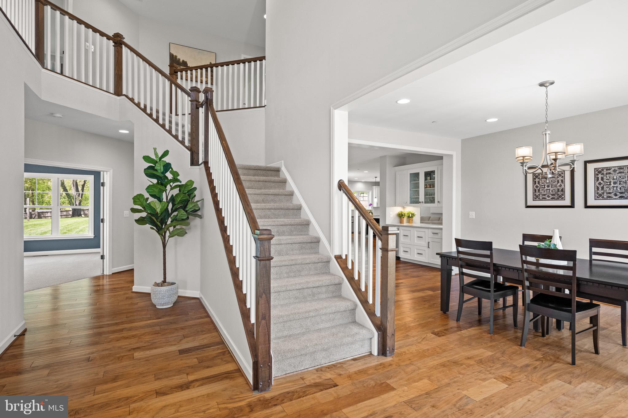 413 Vierling Drive Silver Spring, MD 20904 - Photo 8 of 82 Welcoming foyer