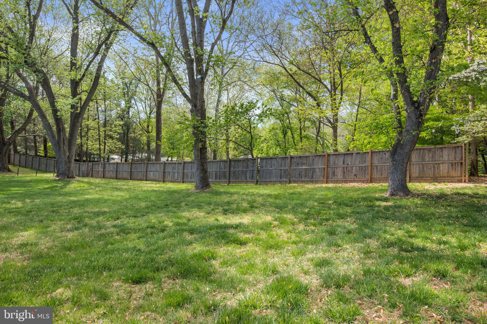 413 Vierling Drive Silver Spring, MD 20904 - Photo 81 of 82 Over 1 acre lot