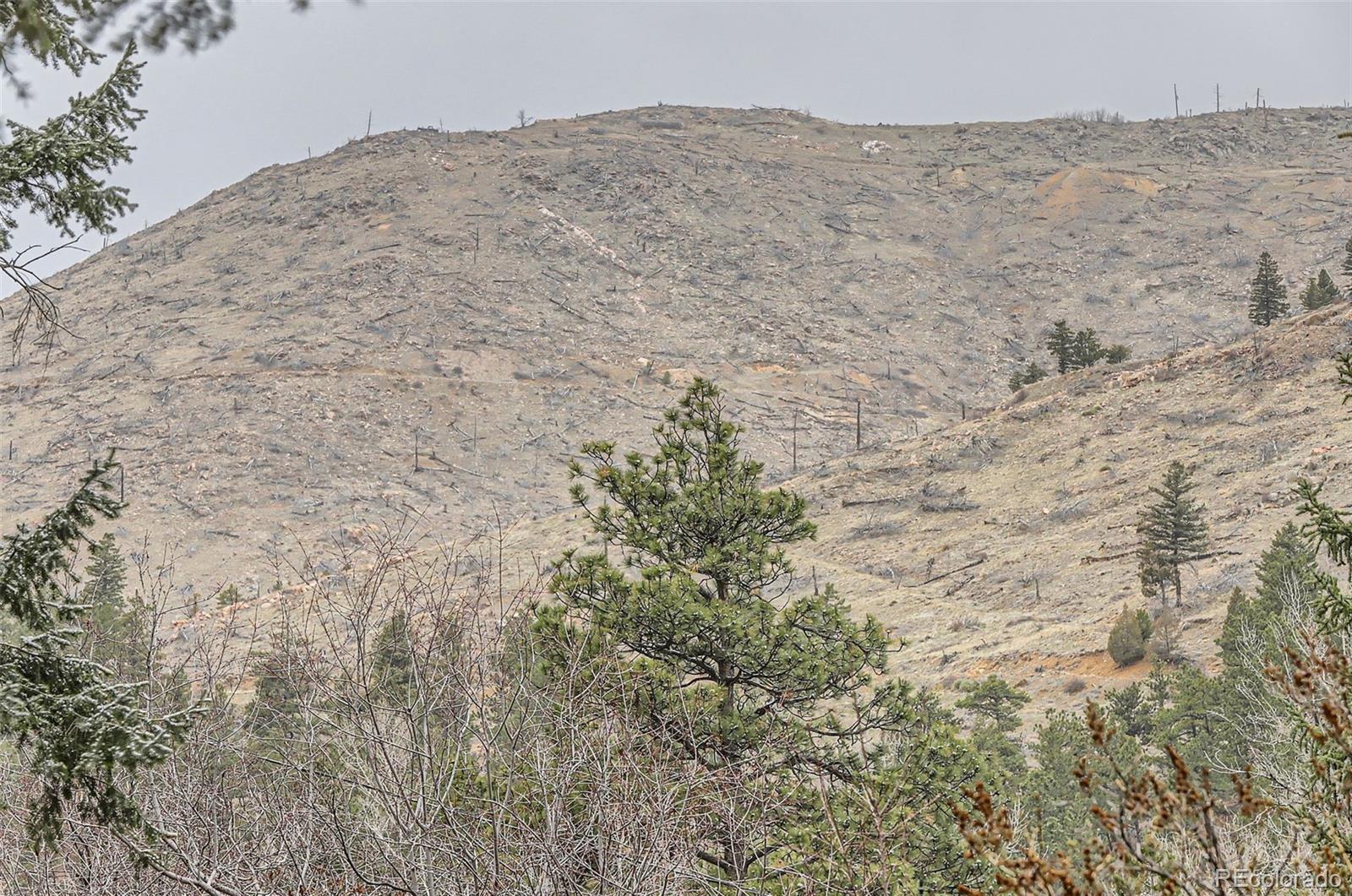 6235 Fourmile Canyon Drive Boulder, CO 80302 - Photo 11 of 11