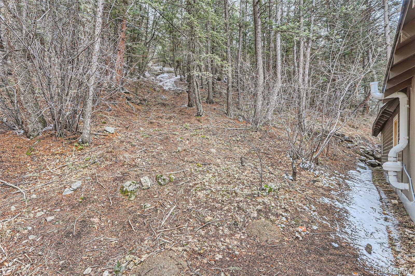 6235 Fourmile Canyon Drive Boulder, CO 80302 - Photo 9 of 11