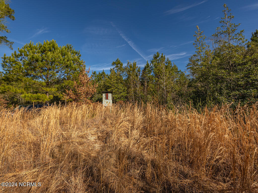 0 Hallsboro Road South Whiteville, NC 28472 - Photo 22 of 27 22