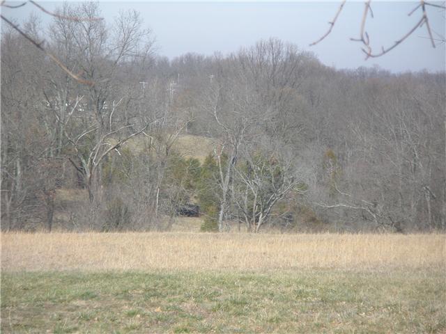 495 Keen Road Portland, TN 37148 - Photo 6 of 9 Gallery Image 6