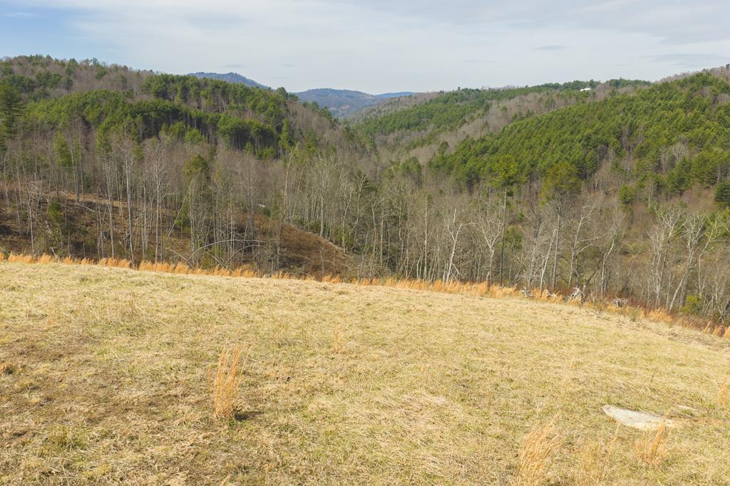 Tbd Carsonville Road Independence, VA 24348 - Photo 1 of 43 Gallery Image 1