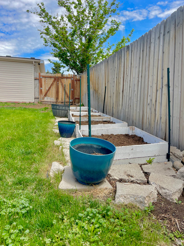 2444 Quail Run Drive Sandy, UT 84093 - Photo 19 of 23 Garden boxes, plant now for harvest time