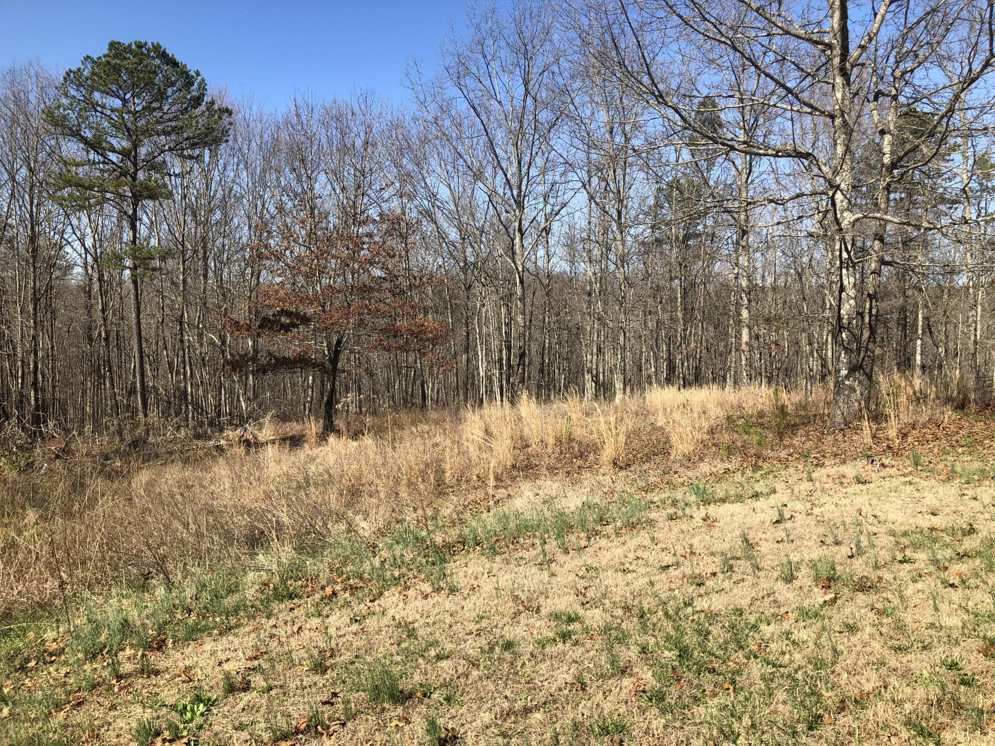 254 Joe Barnett Road Jamestown, TN 38556 - Photo 25 of 27 Gallery Image 25