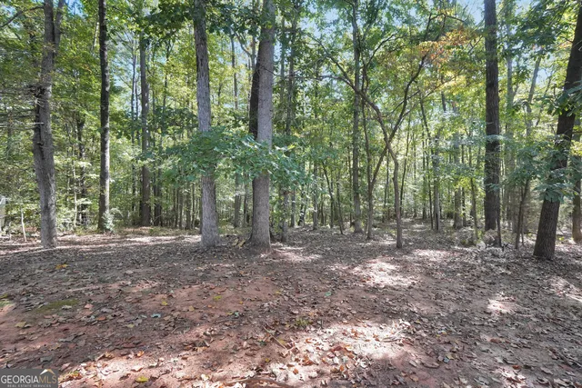 $344,000 | 133 Oakview Circle, Gray, GA 31032