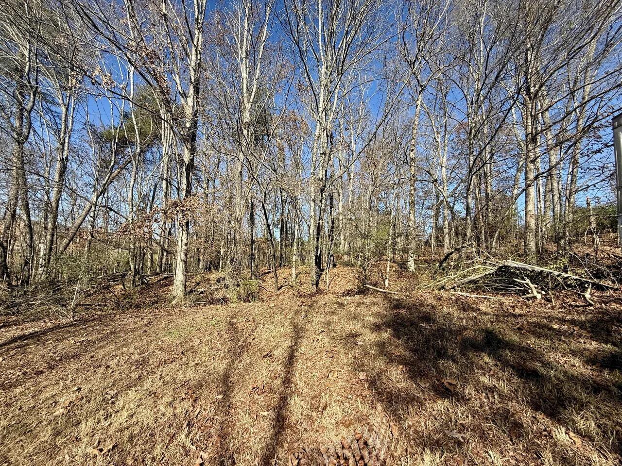 3990 Oak Hill Road Dayton, TN 37321 - Photo 1 of 1 3990 Oak Hill Rd