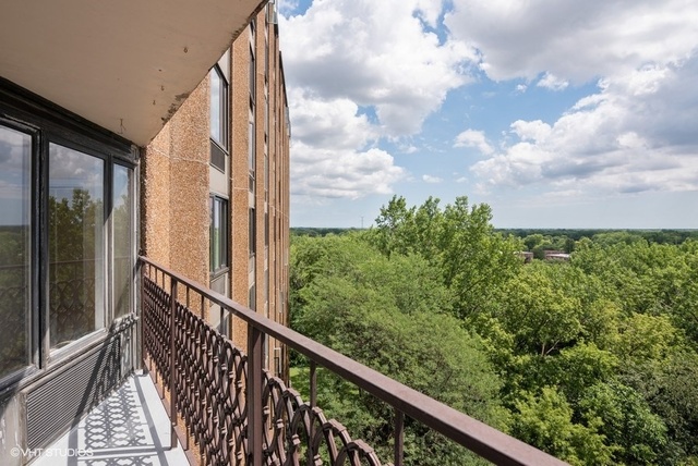 1 Renaissance Place, Unit 809 Palatine, IL 60067 - Photo 15 of 25