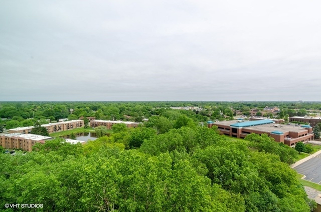 1 Renaissance Place, Unit 809 Palatine, IL 60067 - Photo 3 of 25