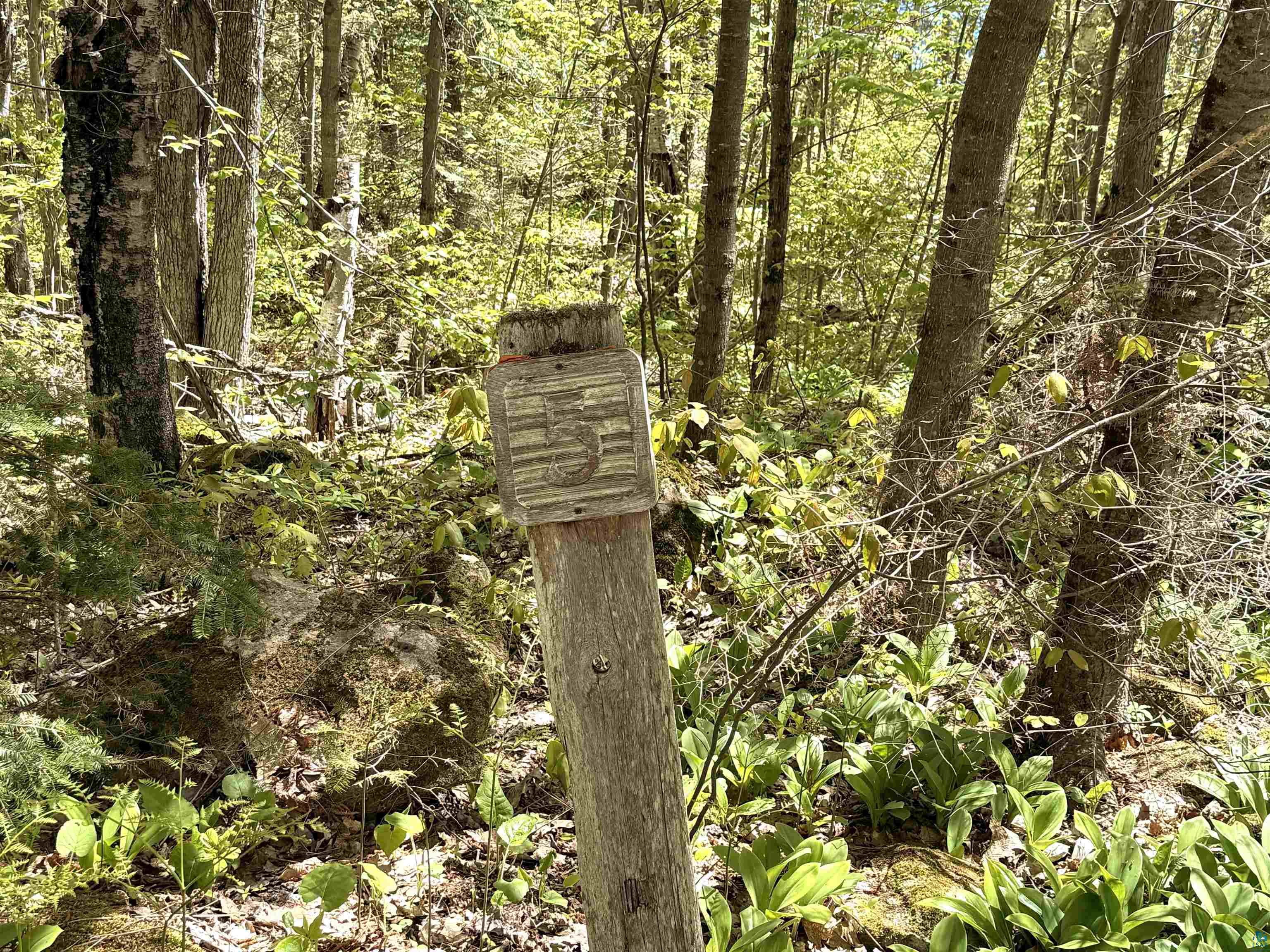 Lot 5 Blue Wing Bay Road Bayfield, WI 54814 - Photo 6 of 11