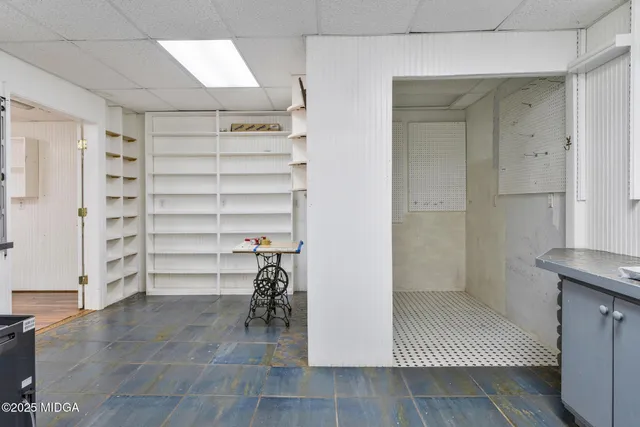 a view of a yard in the forest