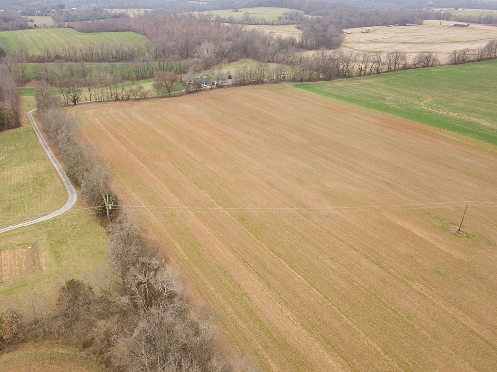 7553 Elm Springs Road Orlinda, TN 37141 - Photo 16 of 60 Gallery Image 16