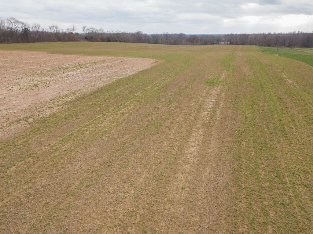 7553 Elm Springs Road Orlinda, TN 37141 - Photo 43 of 60 Gallery Image 43