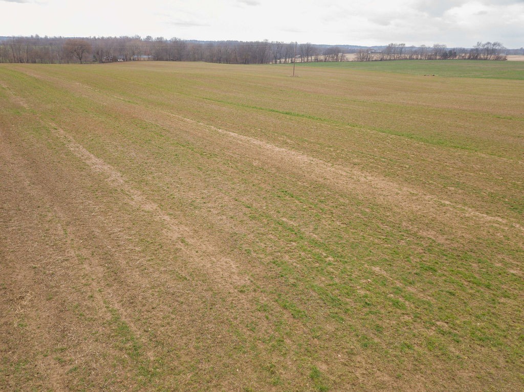 7553 Elm Springs Road Orlinda, TN 37141 - Photo 47 of 60 Gallery Image 47