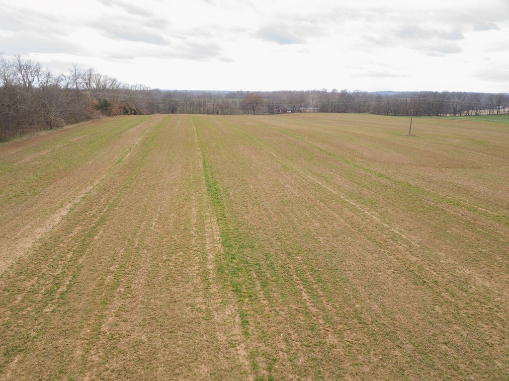 7553 Elm Springs Road Orlinda, TN 37141 - Photo 50 of 60 Gallery Image 50