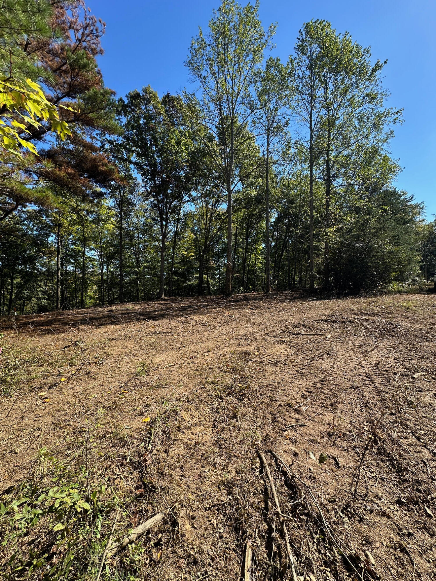 185-282 Sugar 2 Road Nancy, KY 42544 - Photo 20 of 31 West Side Lots