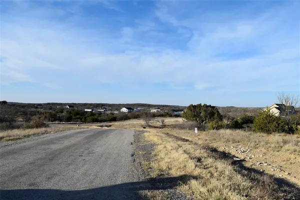 a view of a dry yard with trees