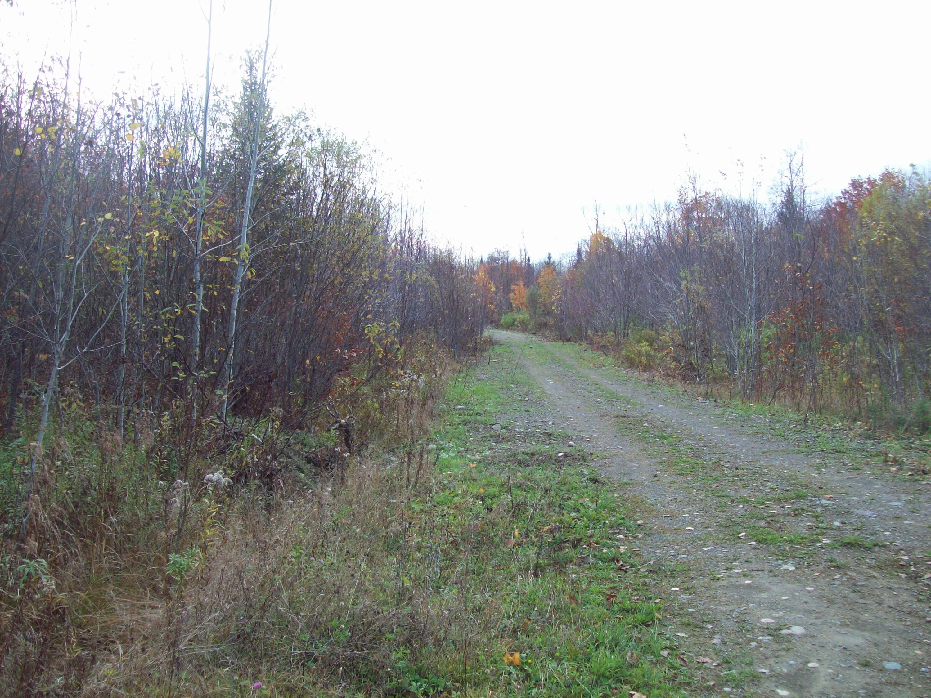 Tbd Mountain Road Mount Chase, ME 04765 - Photo 3 of 29 100_2403
