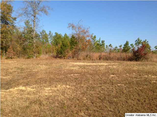 326 Twin Ridge Circle Lincoln, AL 35096 - Photo 20 of 26