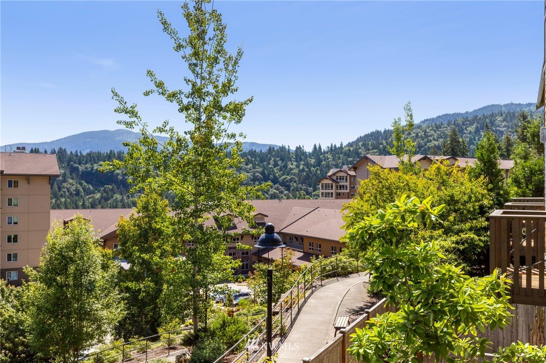 130 Cougar Ridge Road Northwest, Unit 1502 Issaquah, WA 98027 - Photo 9 of 28 a view of a garden