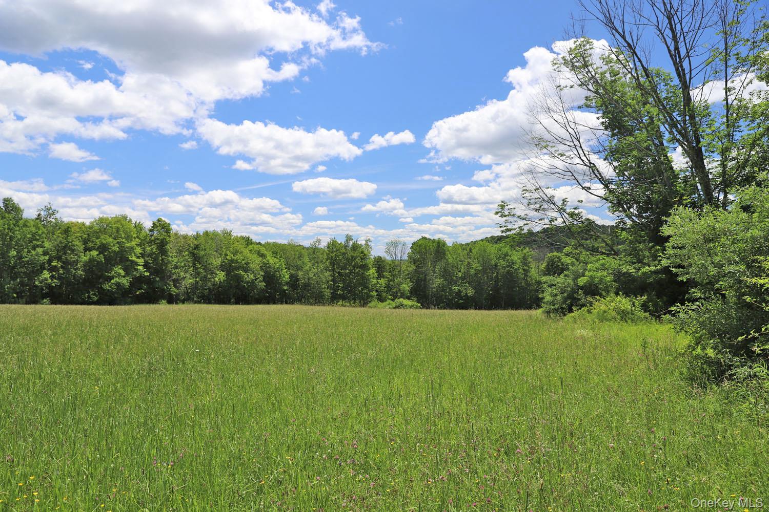 Dietz Road Callicoon Center, NY 12724 - Photo 13 of 24 Meadow to treeline