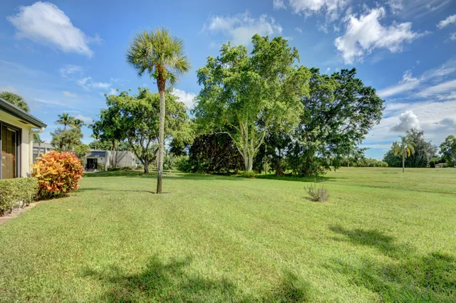 a view of a field of grass and trees