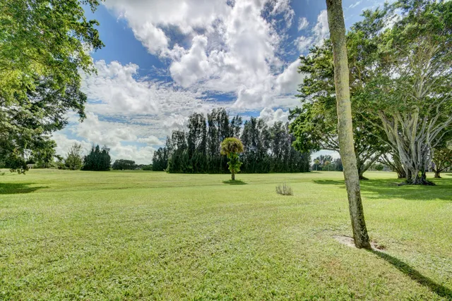 a view of a swimming pool with a patio and a garden