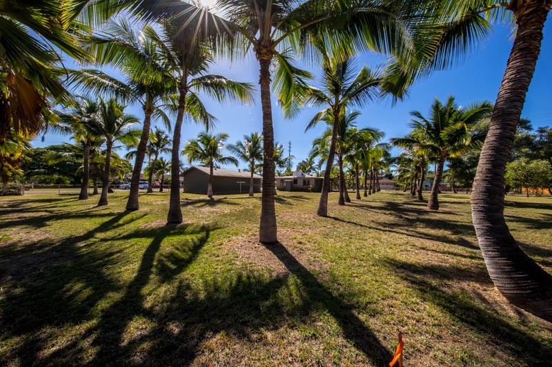 8595 Elepaio Road Kekaha, HI 96752 - Photo 24 of 25 a view of a yard with palm trees