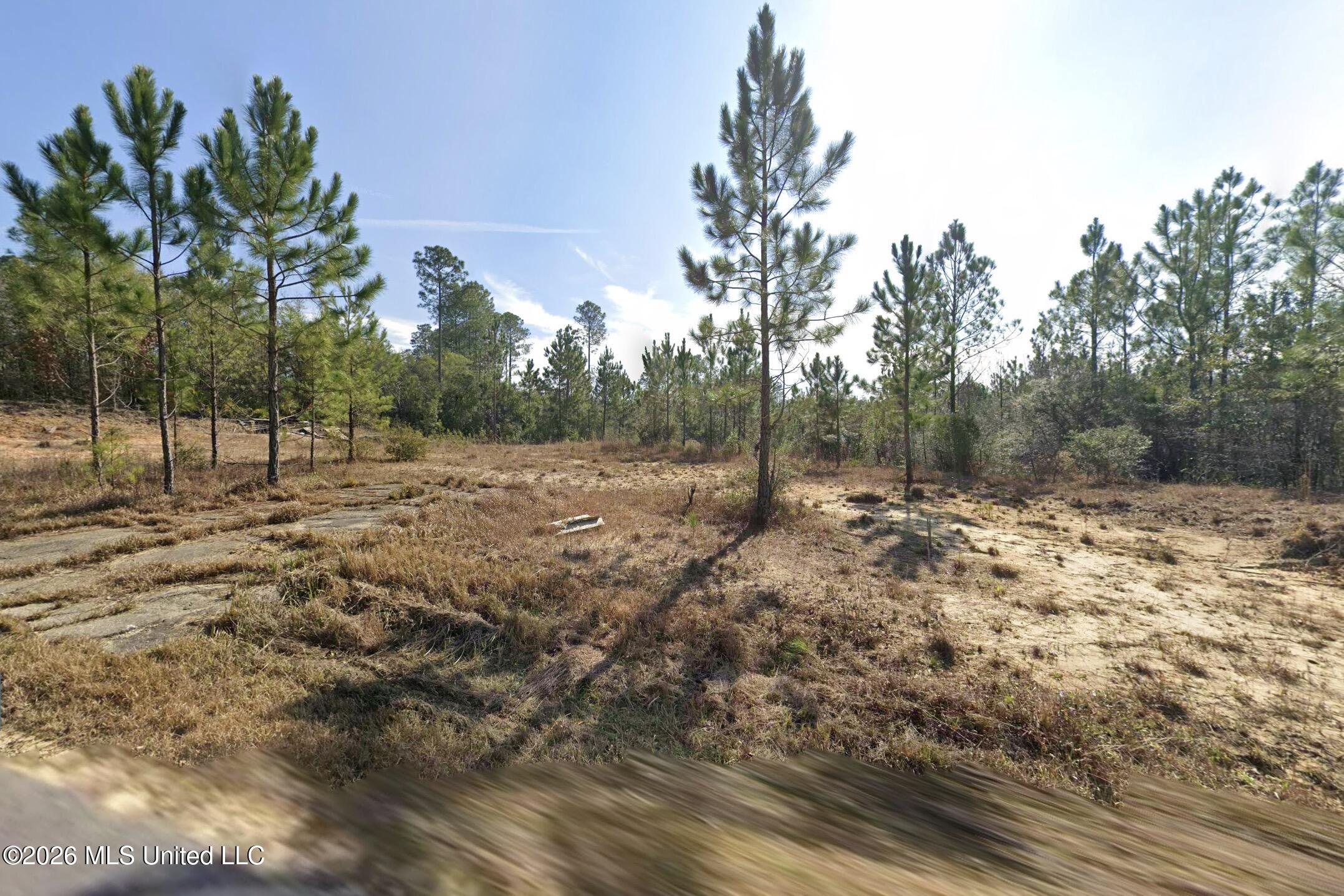 225 Dean Nursery Road Lucedale, MS 39452 - Photo 2 of 5 2