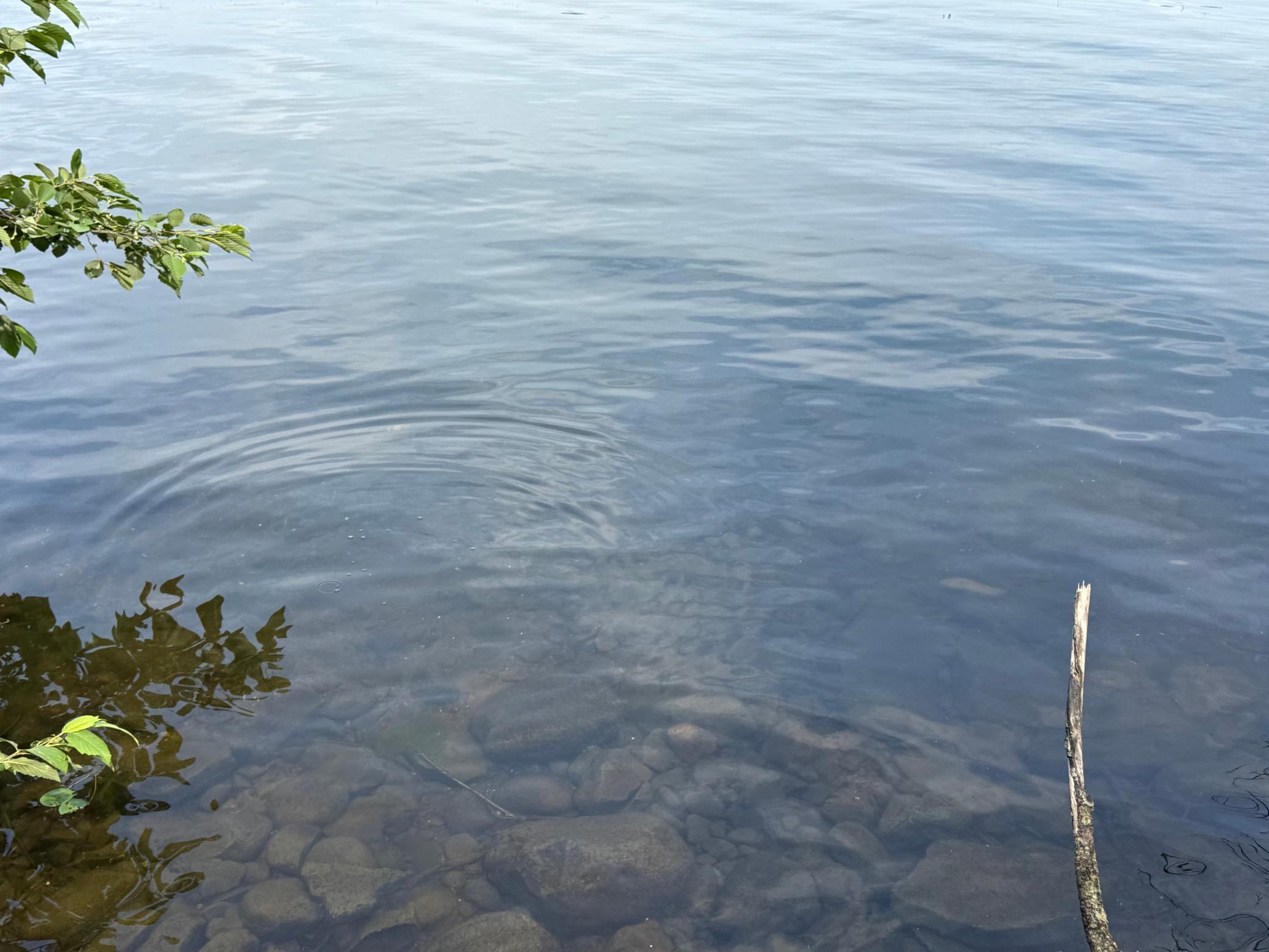 Tbd Long Lake Road Stone Lake, WI 54876 - Photo 7 of 18