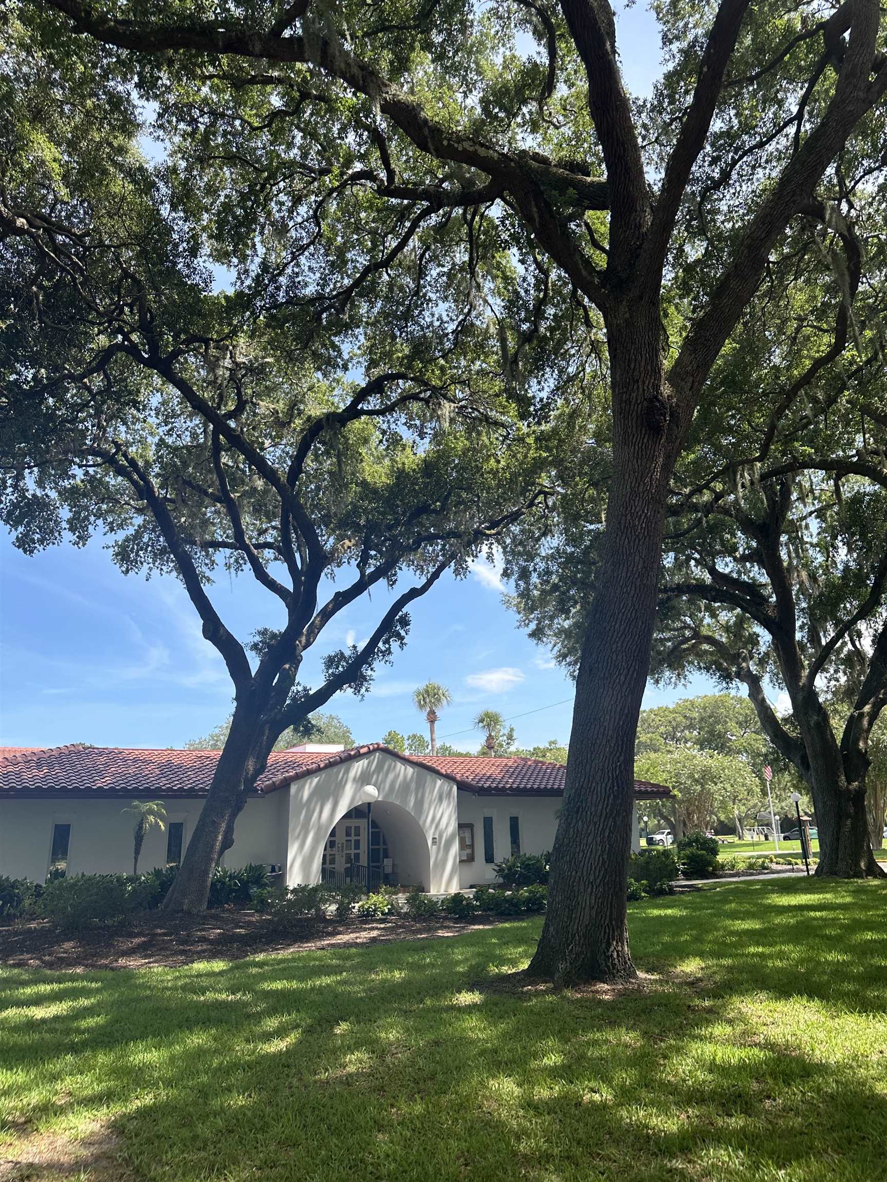 879 Palermo Road St. Augustine, FL 32086 - Photo 35 of 38 a view of a backyard with large trees