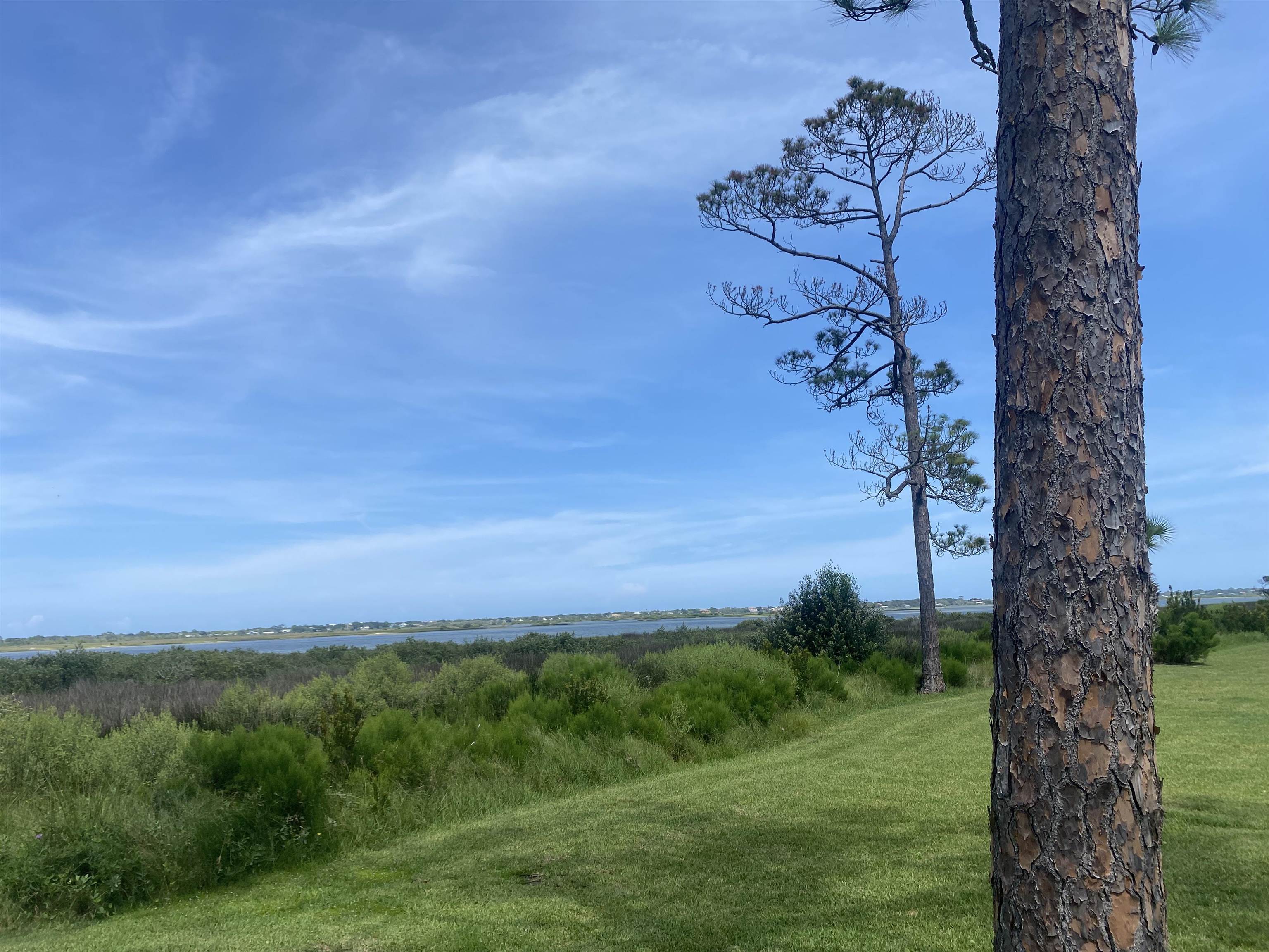 879 Palermo Road St. Augustine, FL 32086 - Photo 38 of 38 a view of a yard with a tree