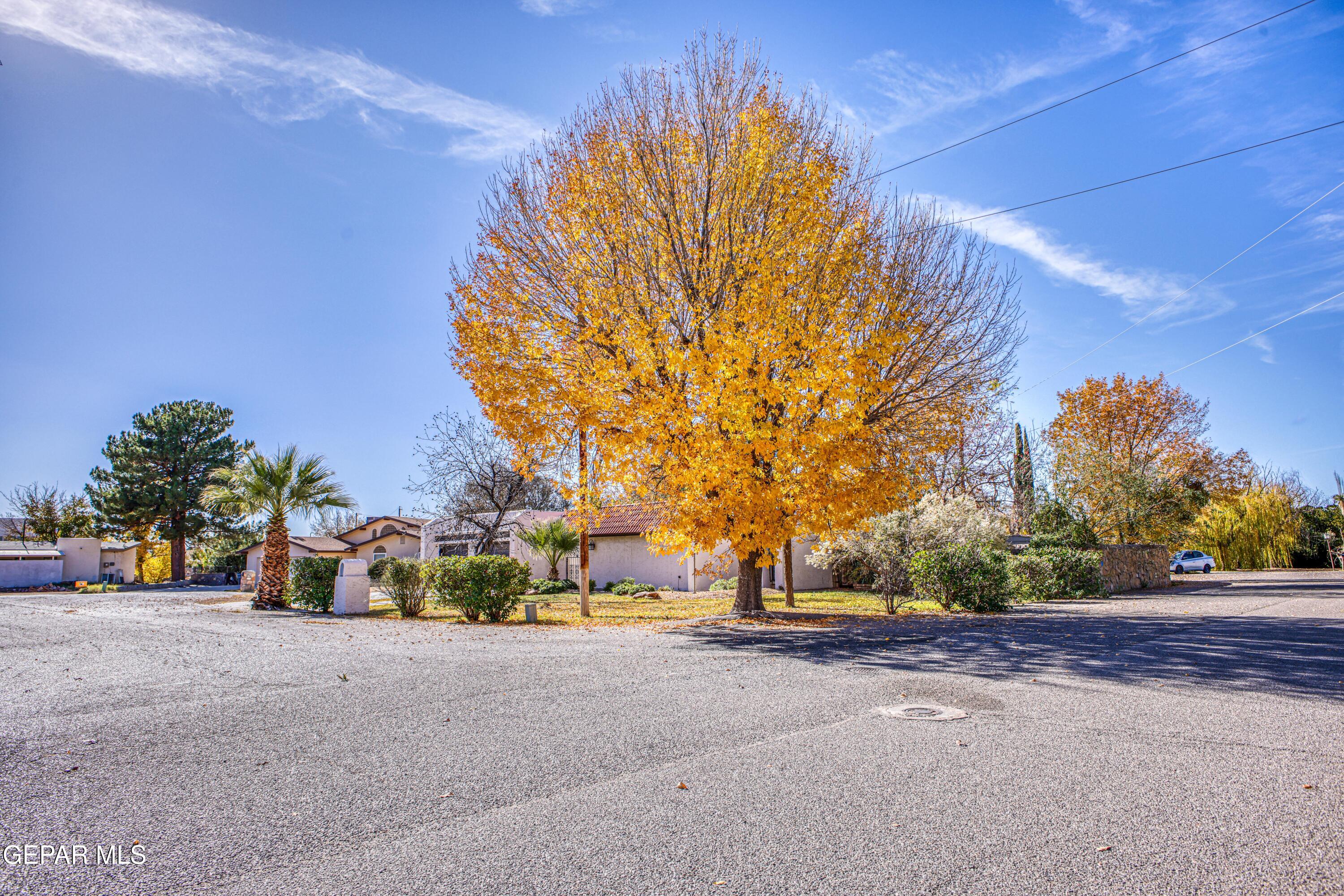 5415 Orantes Place El Paso, TX 79932 - Photo 8 of 94 362A2438_HDR