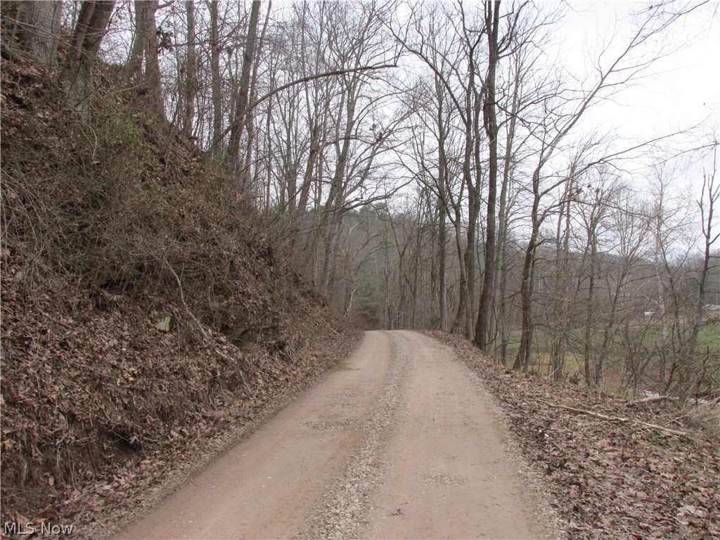 Middle Ridge Road Waverly, WV 26184 - Photo 7 of 7