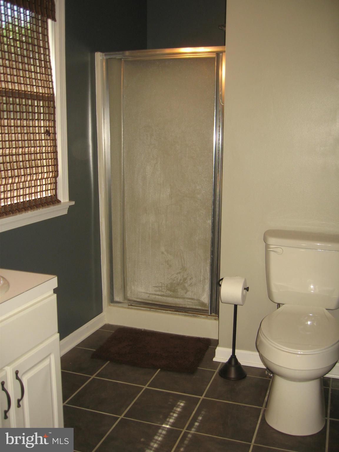 109 Co Rte 12/1 Shepherdstown, WV 25443 - Photo 13 of 16 Bath (Master)