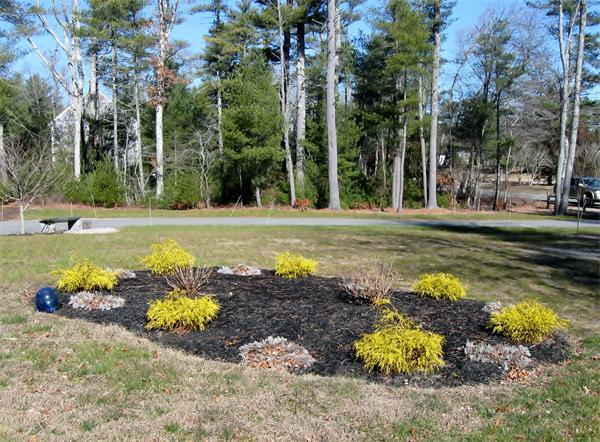 253 County Road Rochester, MA 02770 - Photo 23 of 30 a view of a swimming pool with lawn chairs under an umbrella
