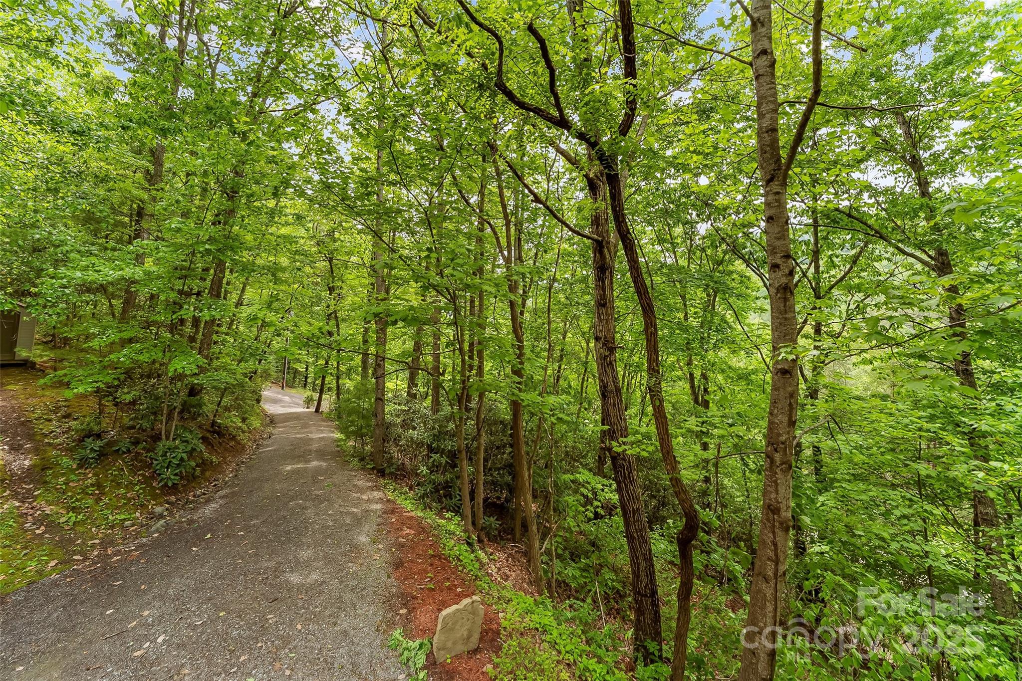 20 Rylee Ridge Asheville, NC 28805 - Photo 20 of 27 Gallery Image 20