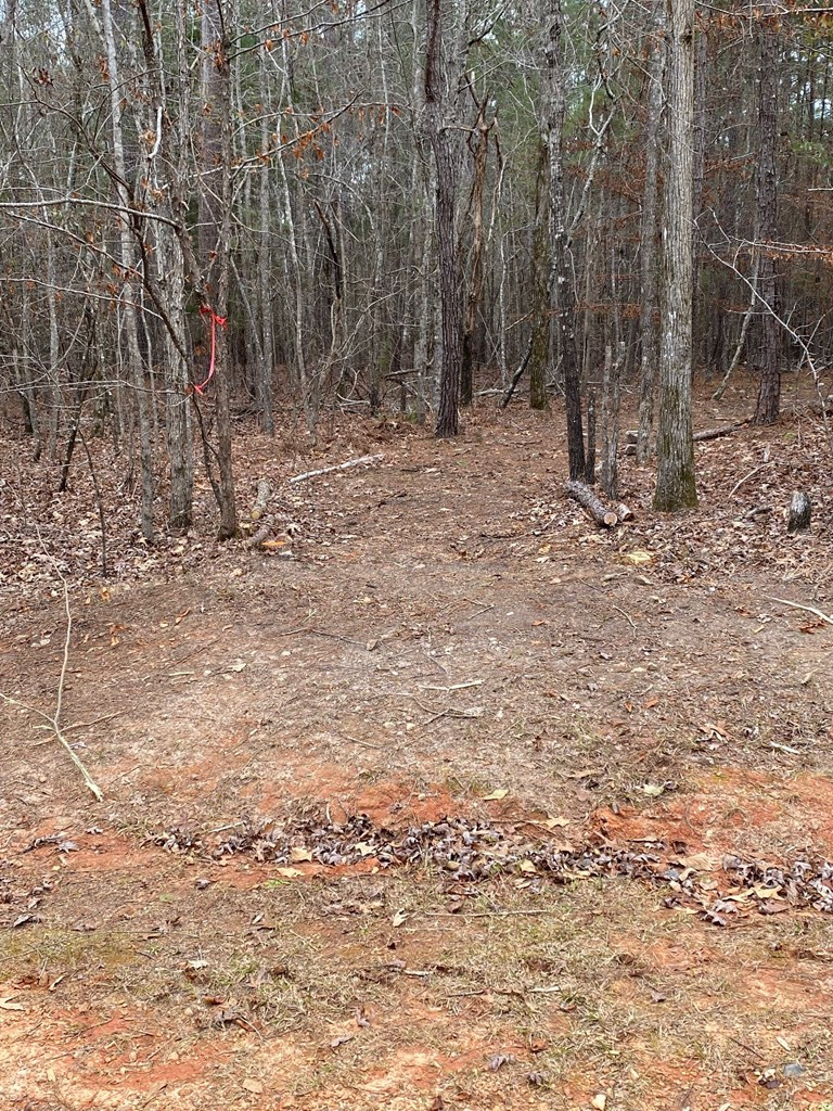 5-65 Overlook Point McCormick, SC 29835 - Photo 2 of 8 Gallery Image 2