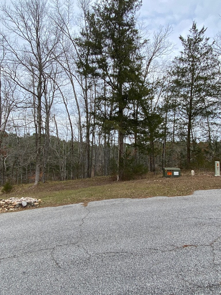5-65 Overlook Point McCormick, SC 29835 - Photo 6 of 8 Gallery Image 6