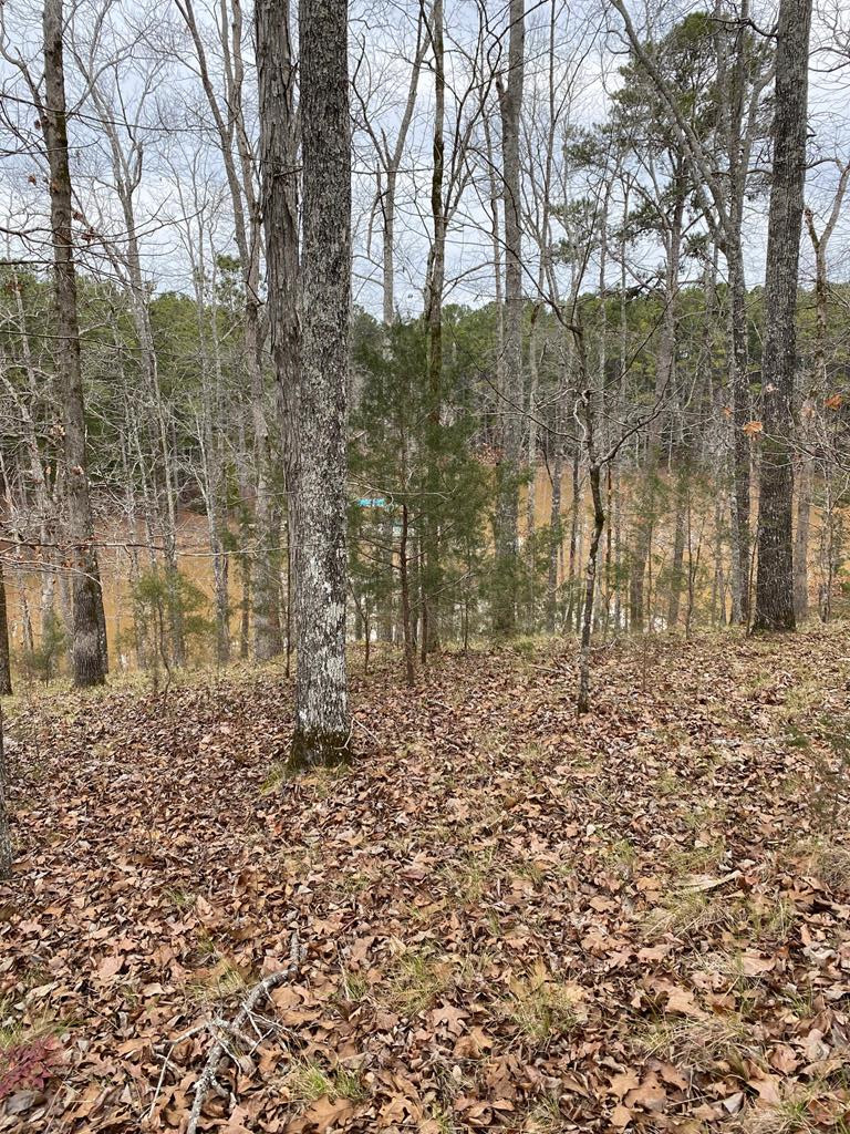 5-65 Overlook Point McCormick, SC 29835 - Photo 7 of 8 Gallery Image 7