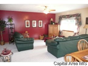 780 Persimmon Road Petersburg, IL 62675 - Photo 8 of 12 Gallery Image 8