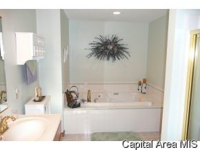 780 Persimmon Road Petersburg, IL 62675 - Photo 10 of 12 Gallery Image 10