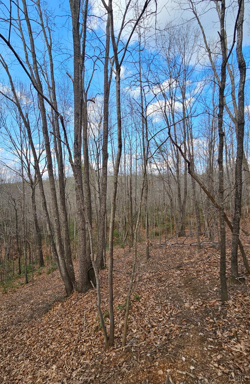 Lt 10/12 Easome Road Hurt, VA 24563 - Photo 4 of 6 a backyard of a house with lots of green space