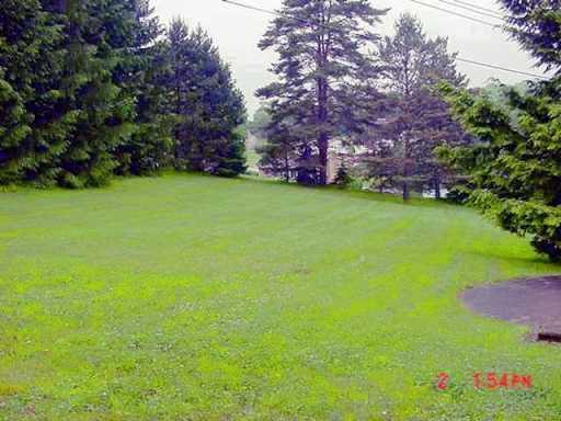 317 Ewing Road Carnegie, PA 15106 - Photo 7 of 8 Yard/Garden.