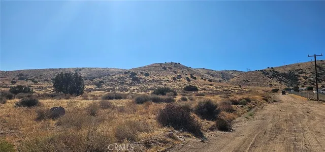 a view of a dry yard with mountains in the background