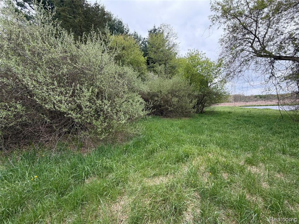 8079 Farley Road Pinckney, MI 48169 - Photo 37 of 43