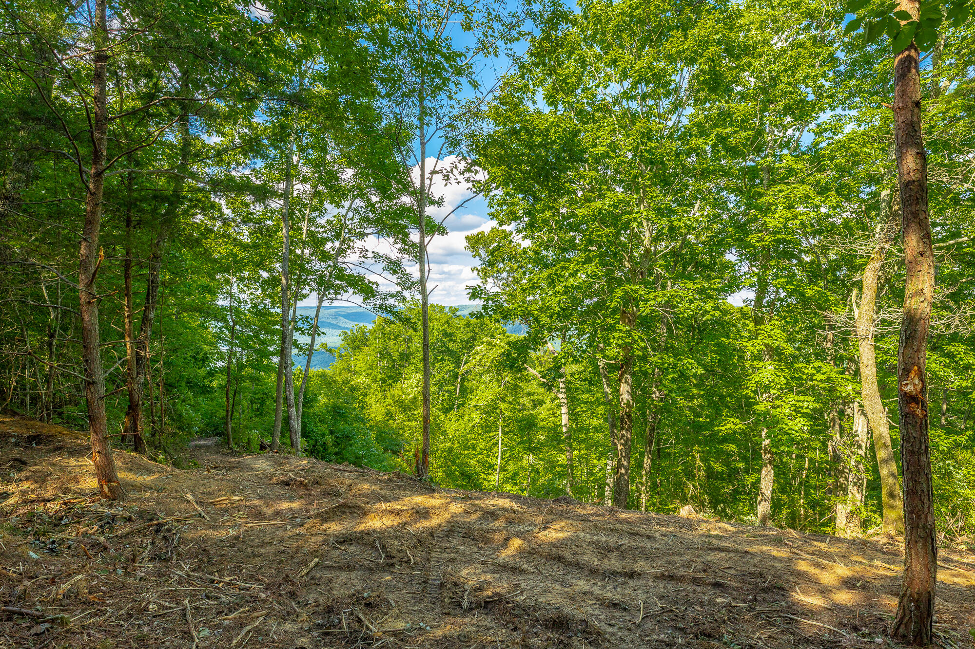 0 Back Basin Trail, Unit LOT 1244 Chattanooga, TN 37419 - Photo 16 of 119 MCW Correction HD-13