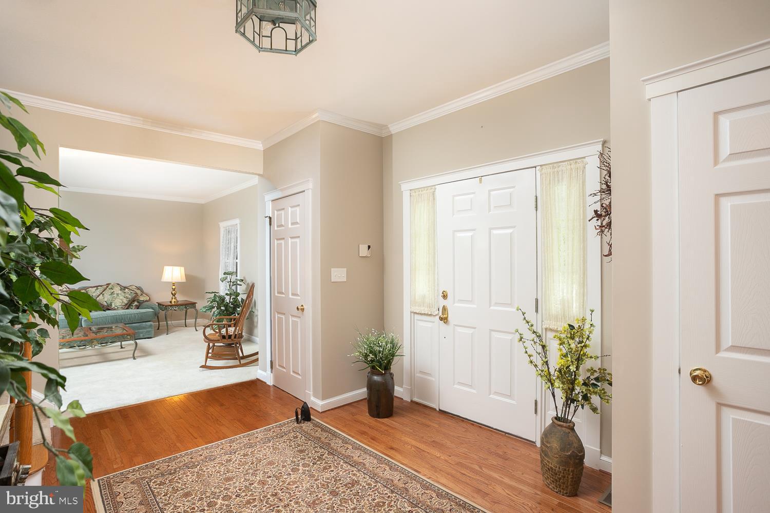 215 Yorkshire Terrace Wrightstown, NJ 08562 - Photo 8 of 43 a living room with furniture and a potted plant