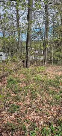 $10,000 | 91 Lambert Street, Central City, PA 15926