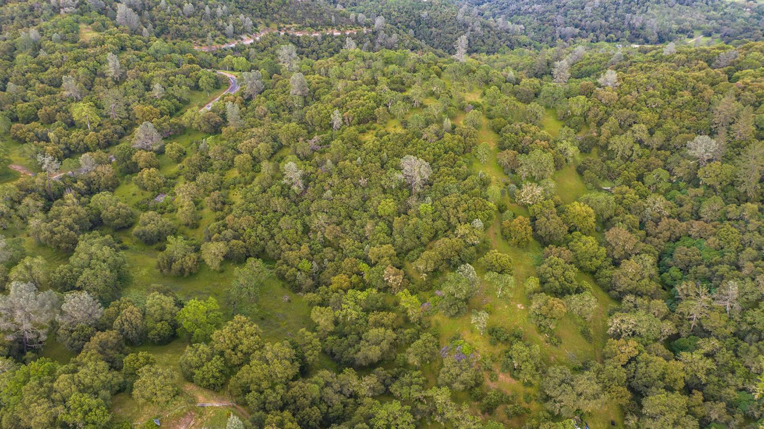 0 River Ranch Road San Andreas, CA 95249 - Photo 9 of 14